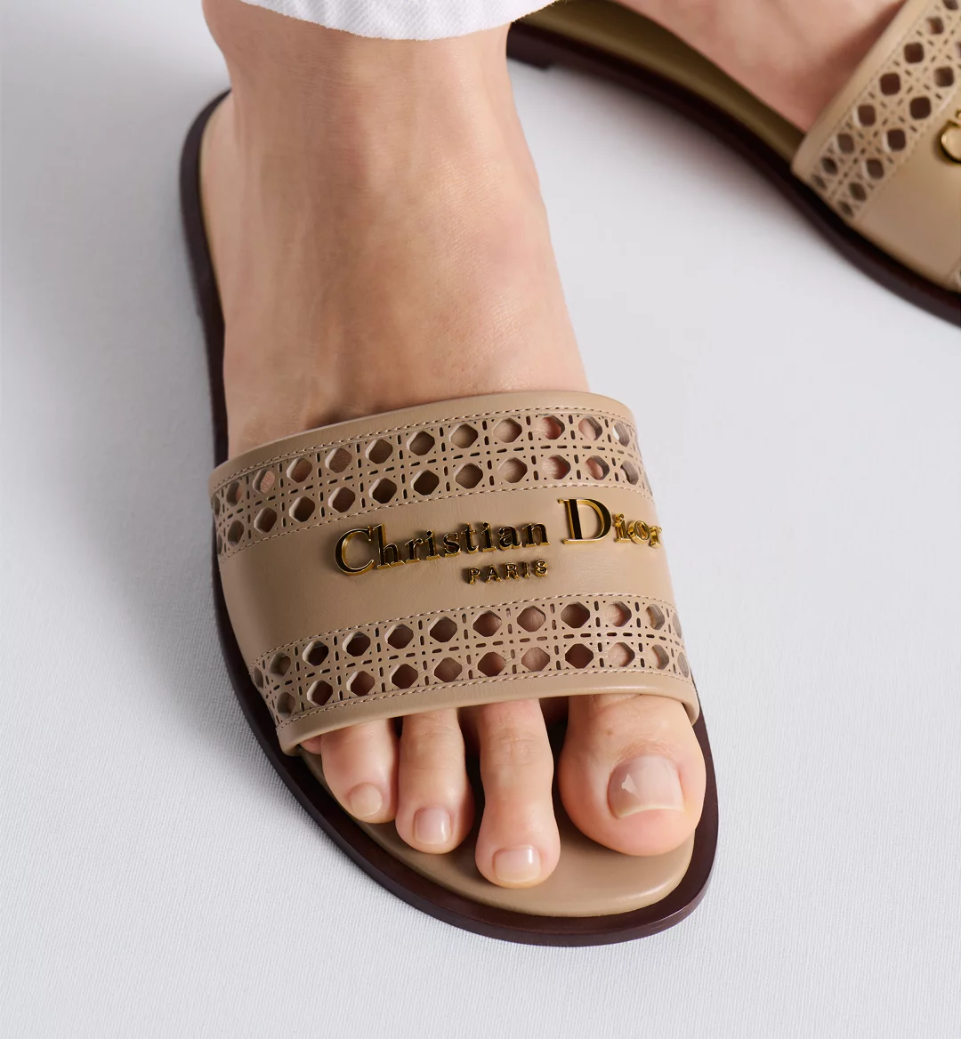 D-Lane Slide - Image 3